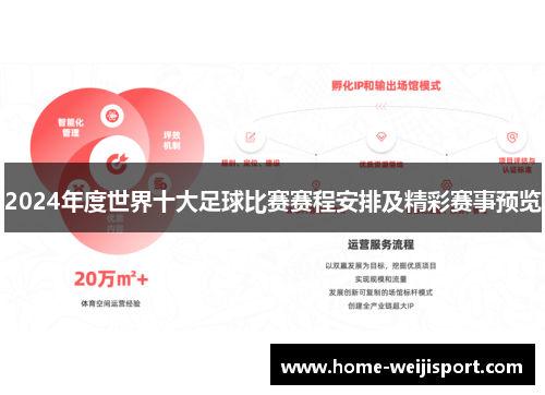 2024年度世界十大足球比赛赛程安排及精彩赛事预览