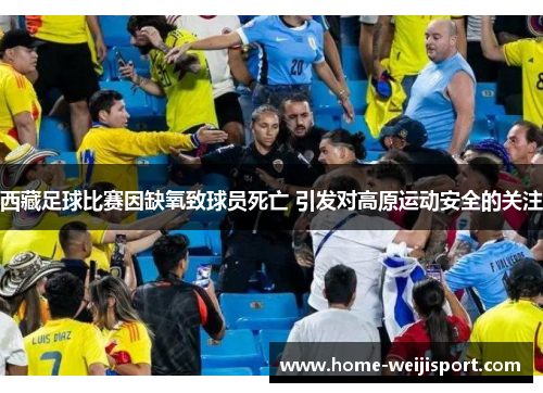 西藏足球比赛因缺氧致球员死亡 引发对高原运动安全的关注